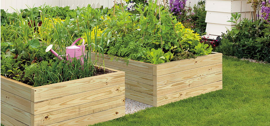 Raised Garden Bed Made of Wood