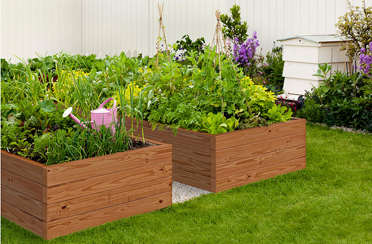 Vegetable garden beds made of ProWood Color Treated wood